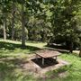 Mt Coot-tha Forest - Overview