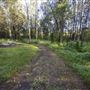Blue Gum Reserve