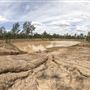 Willowbank MX