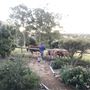 Tallavalley Farm