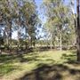 Bigges Camp Park