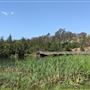 Parkland on the River - Colleges Crossing Recreation Reserve