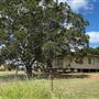 Dumbarton Cattle Station