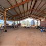 Dumbarton Cattle Station