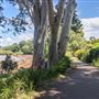 Jack Gordon Pathway
