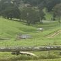 Back Creek Farm