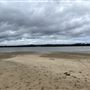 Cabbage Tree Point