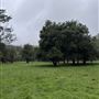 Neranwood Farm