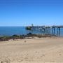 Palm Cove - Beach / Coastline