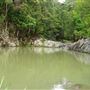 Currumbin Rock Pools
