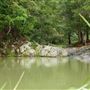 Currumbin Rock Pools