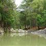 Currumbin Rock Pools
