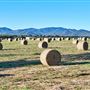 Tablelands Farming