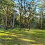 Hayes Property