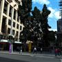 Edward Street