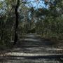 Epapah Creek - Karl's Pier track