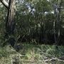 Epapah Creek - Karl's Pier track