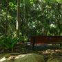 Mount Coot-tha Botanic Gardens - Australian Rainforest Track