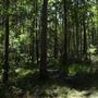 Daisy Hill Conservation Park