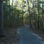 Hemmant Quarry Reserve