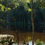 Hemmant Quarry Reserve