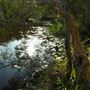 Hemmant Quarry Reserve