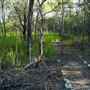 Hemmant Quarry Reserve