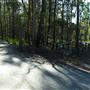 Venman Bushland