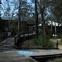 Boondall Wetlands