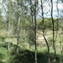 Boondall Wetlands