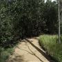 Boondall Wetlands