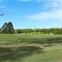 Curlew Park - Cabbage Tree Creek