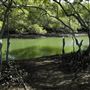Curlew Park - Cabbage Tree Creek