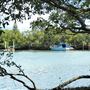 Curlew Park - Cabbage Tree Creek
