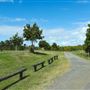 Curlew Park - Cabbage Tree Creek