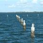 Shorncliffe Pier
