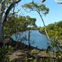 Nudgee Beach Wetlands Reserve