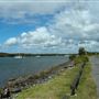 Tuckeroo Park & Dog beach