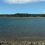 Tuckeroo Park & Dog beach
