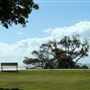 Nudgee Beach