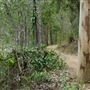 Enoggera Reservoir