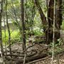 Enoggera Reservoir
