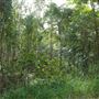 Enoggera Reservoir