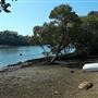 Tingalpa Creek
