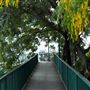 Taringa Central Pedestrian Bridge