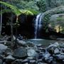 Buderim Forest Park
