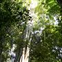 Palm Grove Property