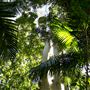 Palm Grove Property