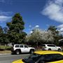Canungra
