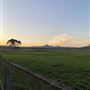 Allenview